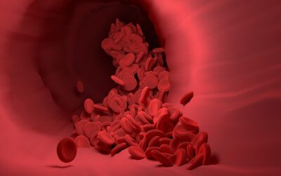 Blood Cells Composition: Exploring the World Inside You