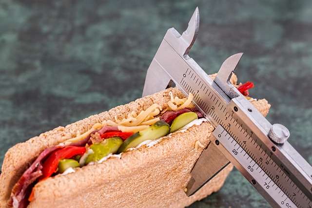 Vernier caliper measuring loaded sandwich for calories