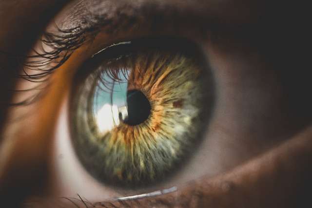 Eye Care: Understanding Your Eyes for a Lifetime of Clarity