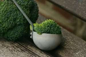 broccoli in spoon Top Ten Healthy Vegetables