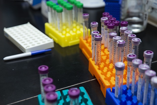 colorful Lab test tubes complete blood count