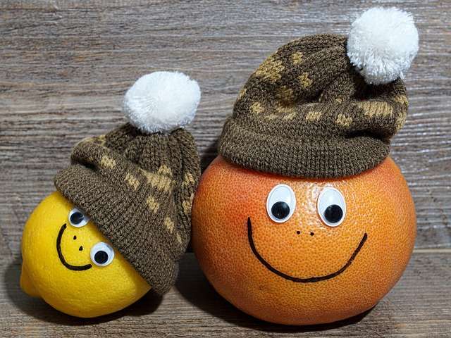 Image of orange and lemon what are vitamins?